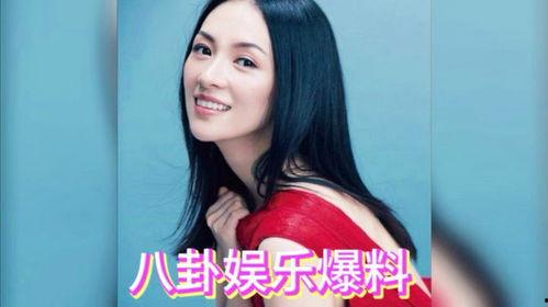 娱乐吃瓜酱明星是谁